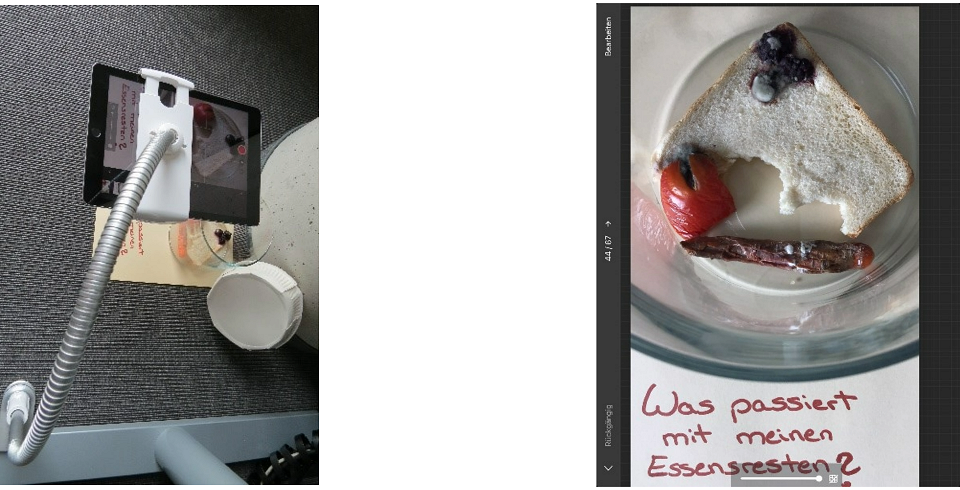 Aufnahmen mit der Trickfilm App eines Tablets. Zersetzung der Vesper-Reste.