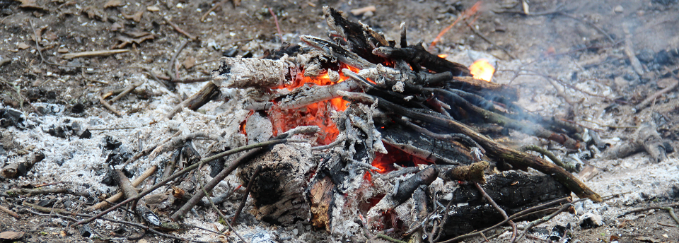 Glühende Reste eines Lagerfeuers.